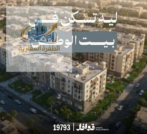 7 1000710798. webp