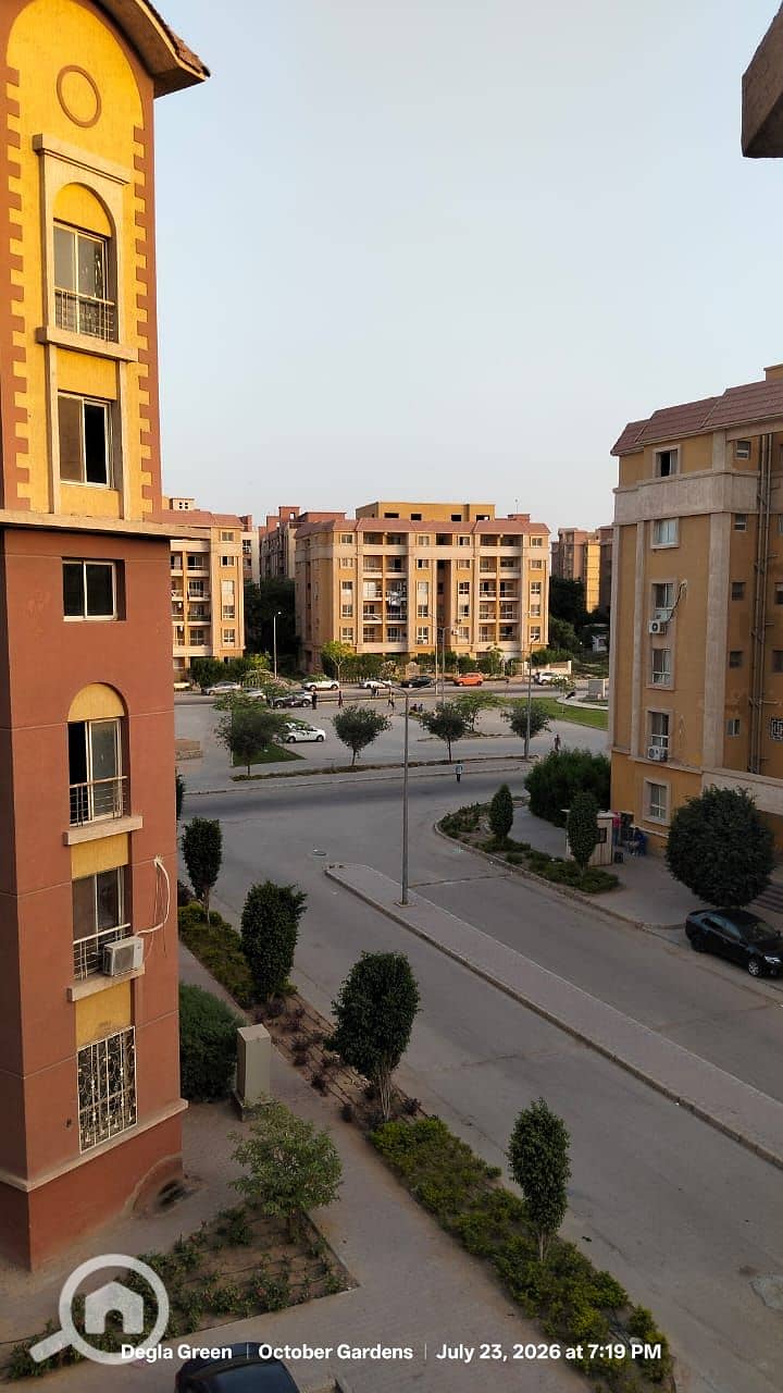 1000574317. jpg 1000574317. jpg