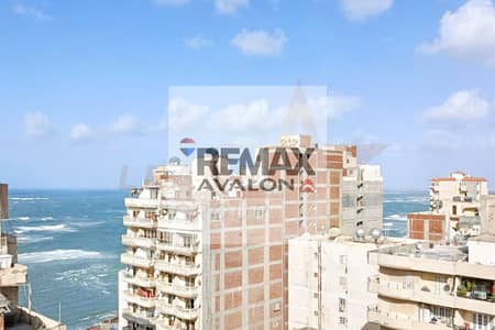 3 Bedroom Apartment for Rent in Miami, Alexandria - 1. jpg 3 Bedroom Apartment for Rent in Miami, Alexandria - 1. jpg