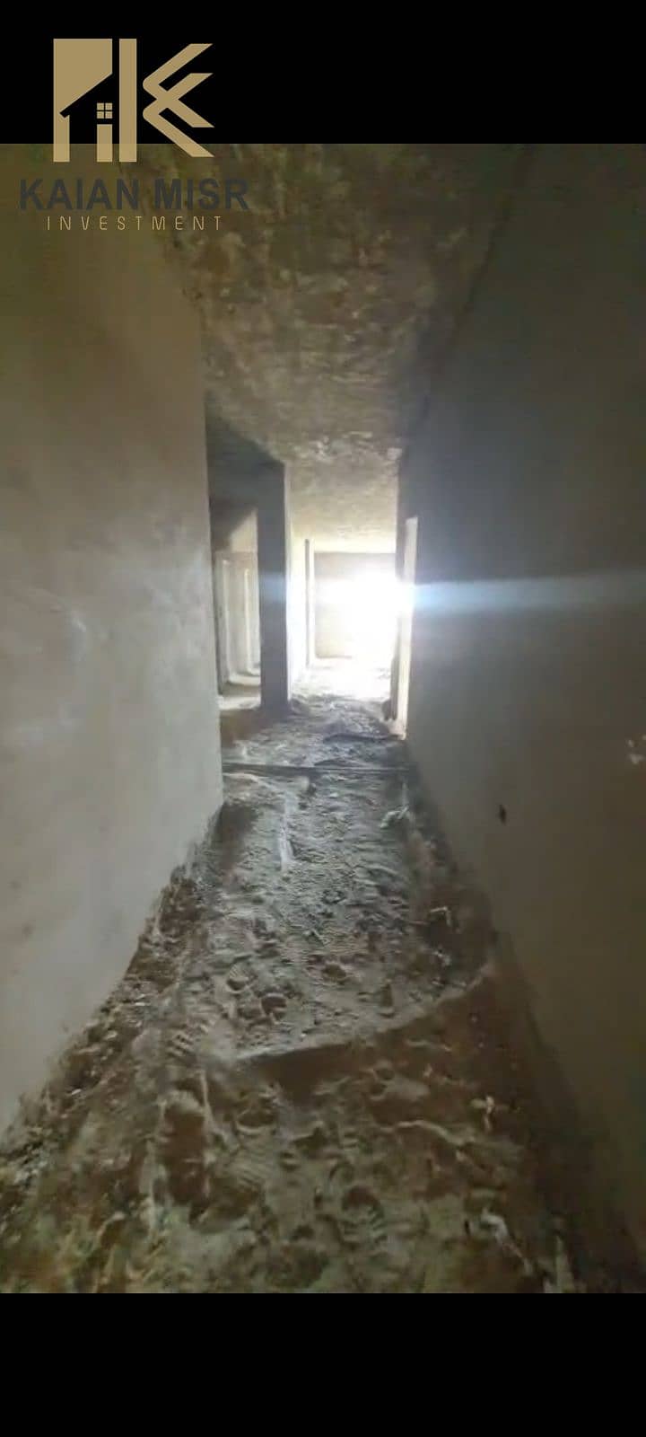 13 1000007053. jpg