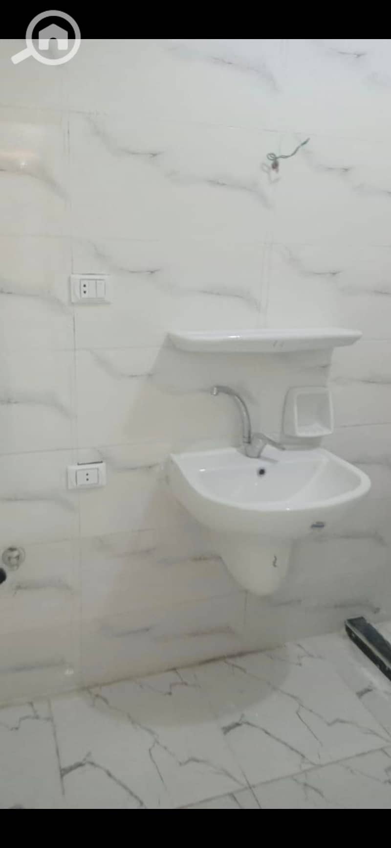7 16873. jpg