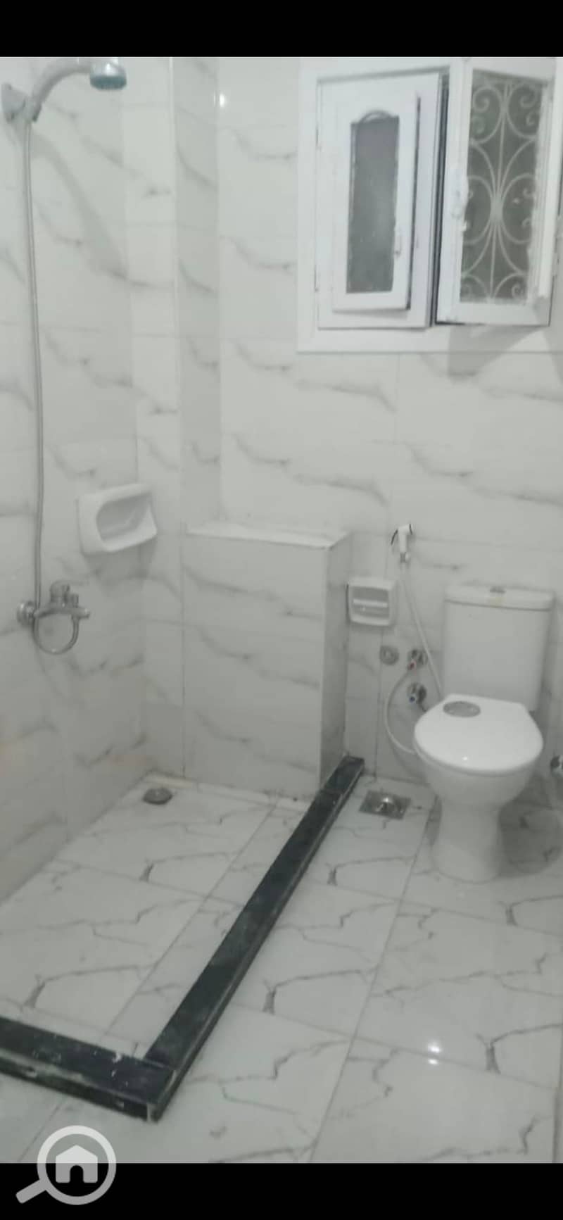 8 16871. jpg
