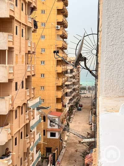 فلیٹ 2 غرفة نوم للبيع في النخيل، الإسكندرية - 1001013280. jpg فلیٹ 2 غرفة نوم للبيع في النخيل، الإسكندرية - 1001013280. jpg