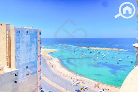 2 Bedroom Apartment for Sale in Miami, Alexandria - 7-3-4. jpg
