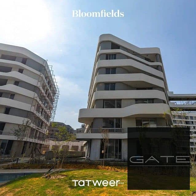2 bloomfields1. jpg