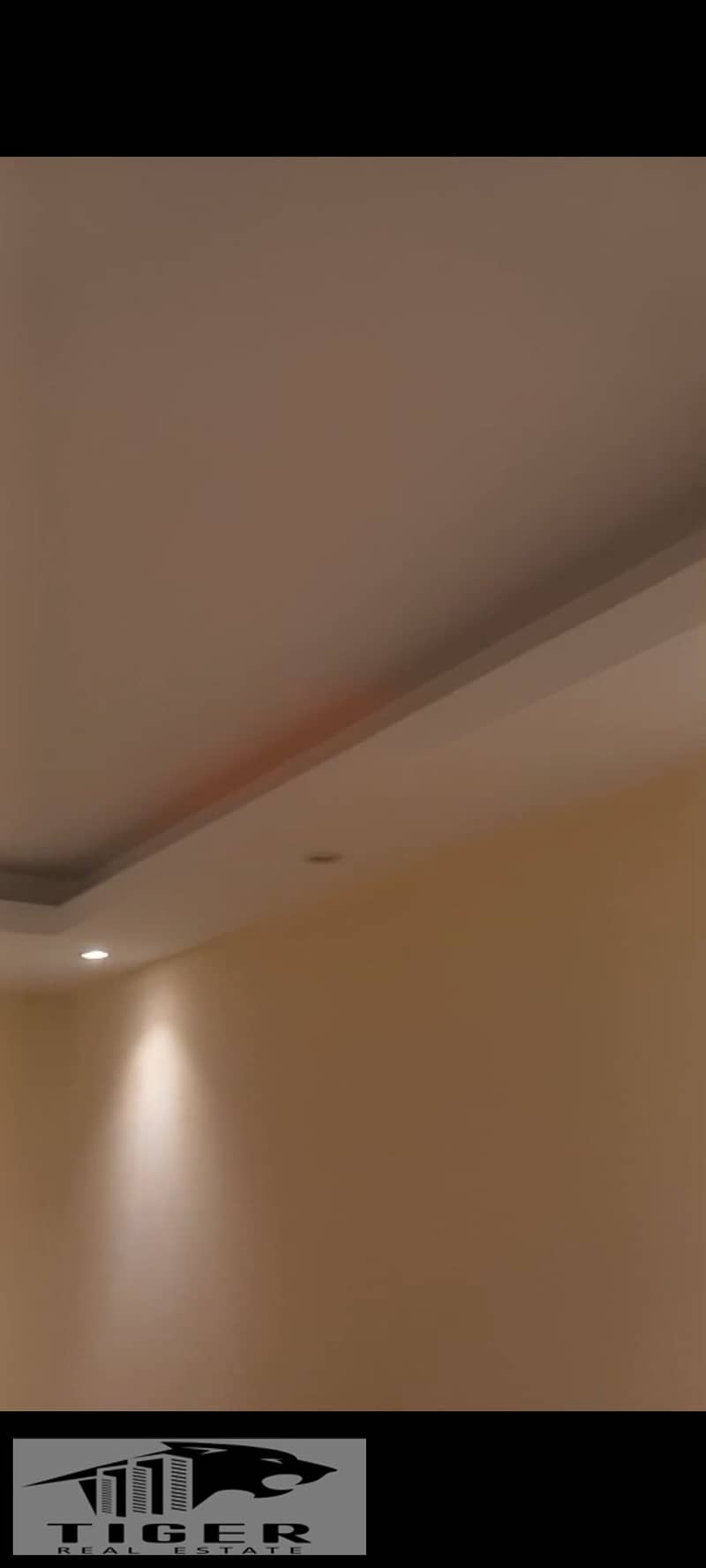 7 1000791766. jpg