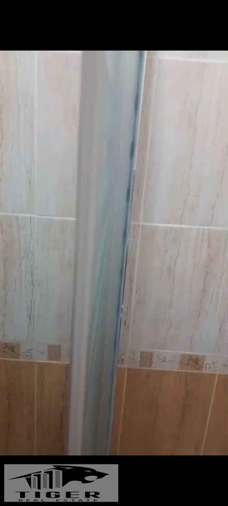 9 1000791764. jpg
