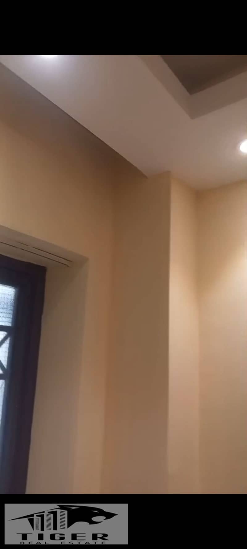 11 1000791768. jpg