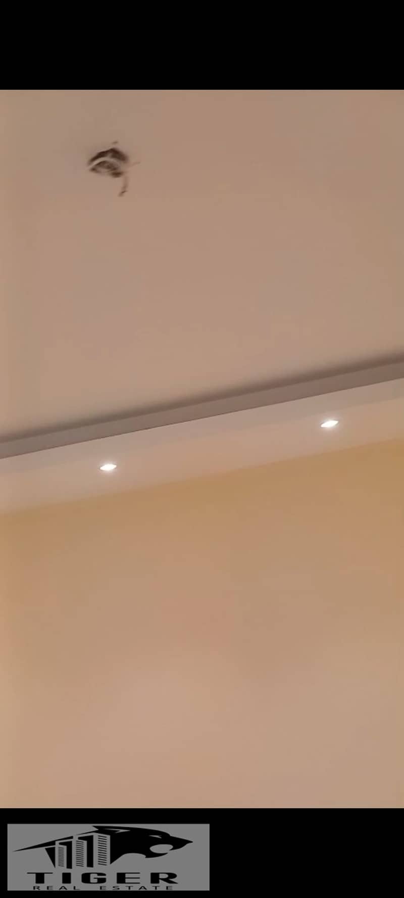 12 1000791767. jpg