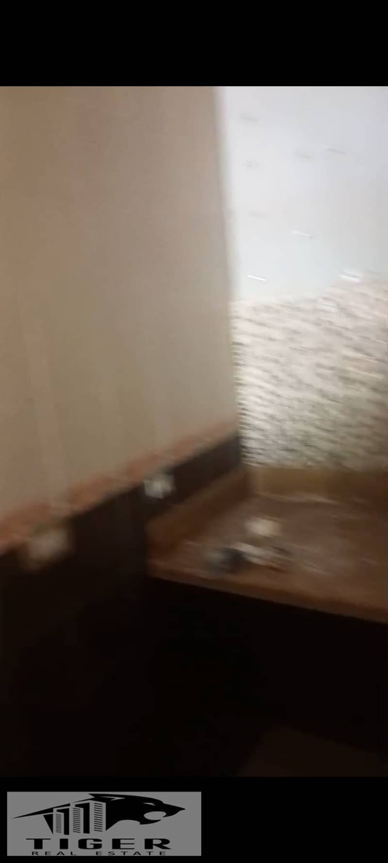 14 1000791771. jpg