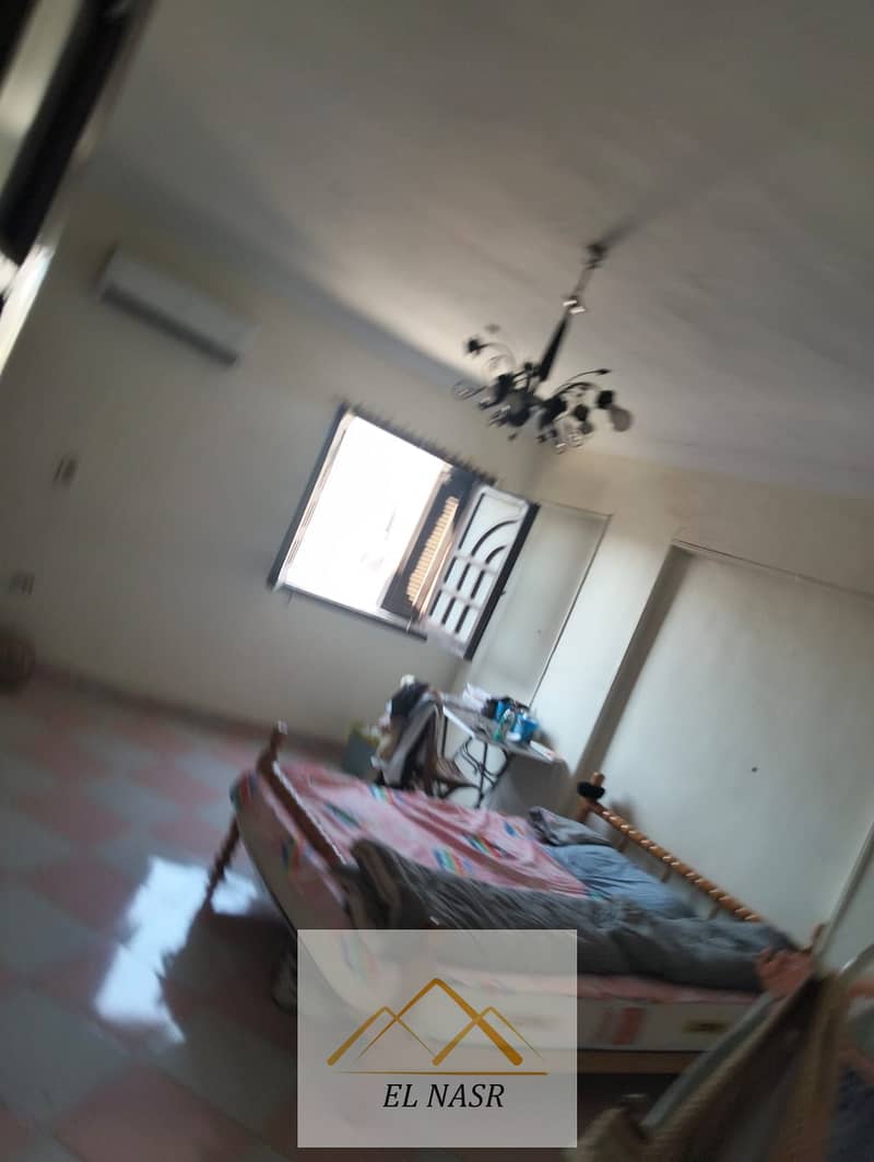 6 5. jpeg