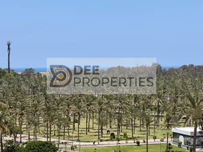 2 Bedroom Flat for Sale in Montazah, Alexandria - WhatsApp Image 2026-08-09 at 5.52. 41 PM. jpeg