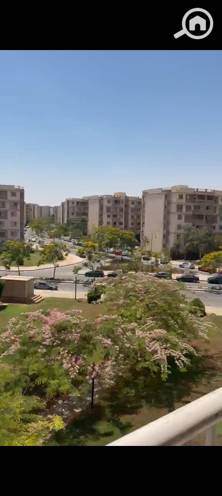 12 83249. jpg