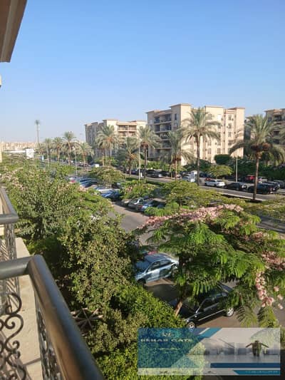 فلیٹ 2 غرفة نوم للايجار في القاهرة الجديدة، القاهرة - 58cd0621-ea2a-484e-b842-bfd53c36e974. jpg