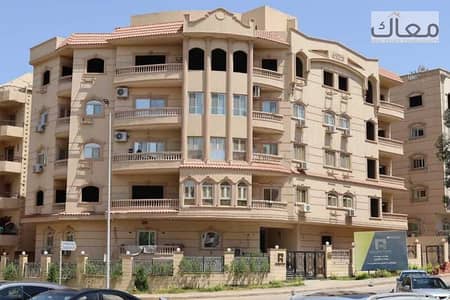 فیلا 5 غرف نوم للبيع في القاهرة الجديدة، القاهرة - 938d84f0-3016-4324-ae51-a18f925ff1b7. jpeg فیلا 5 غرف نوم للبيع في القاهرة الجديدة، القاهرة - 938d84f0-3016-4324-ae51-a18f925ff1b7. jpeg