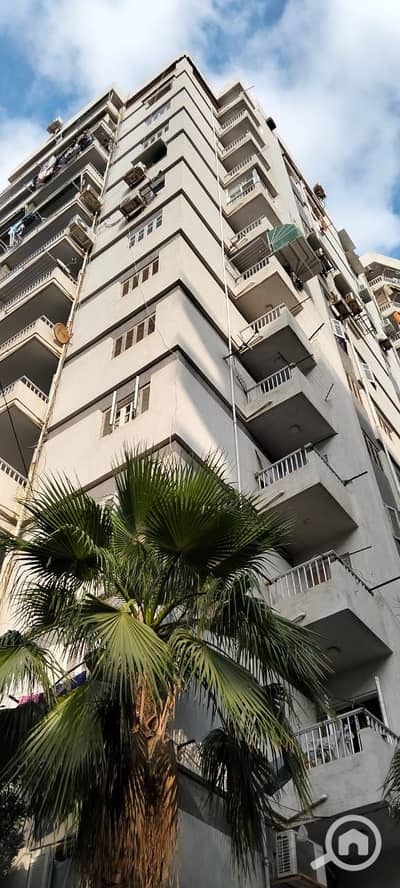 4 Bedroom Flat for Rent in Sporting, Alexandria - WhatsApp Image 2026-08-09 at 18.28. 30. jpeg