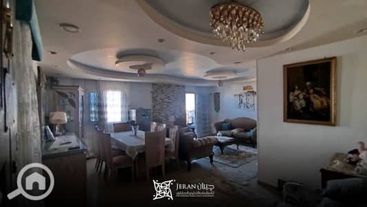 3 Bedroom Flat for Sale in Gianaclis, Alexandria - 2. png
