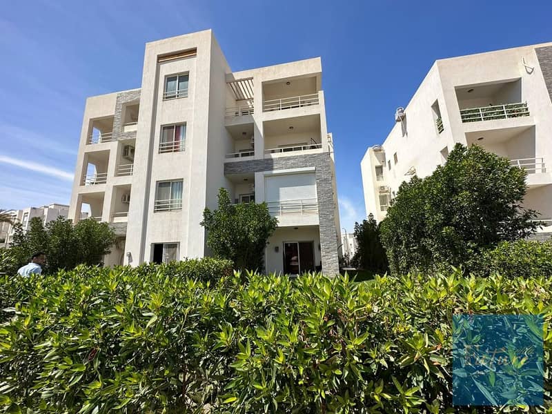 5 WhatsApp Image 2025-05-03 at 15.19. 50_7bfbaca0. jpg
