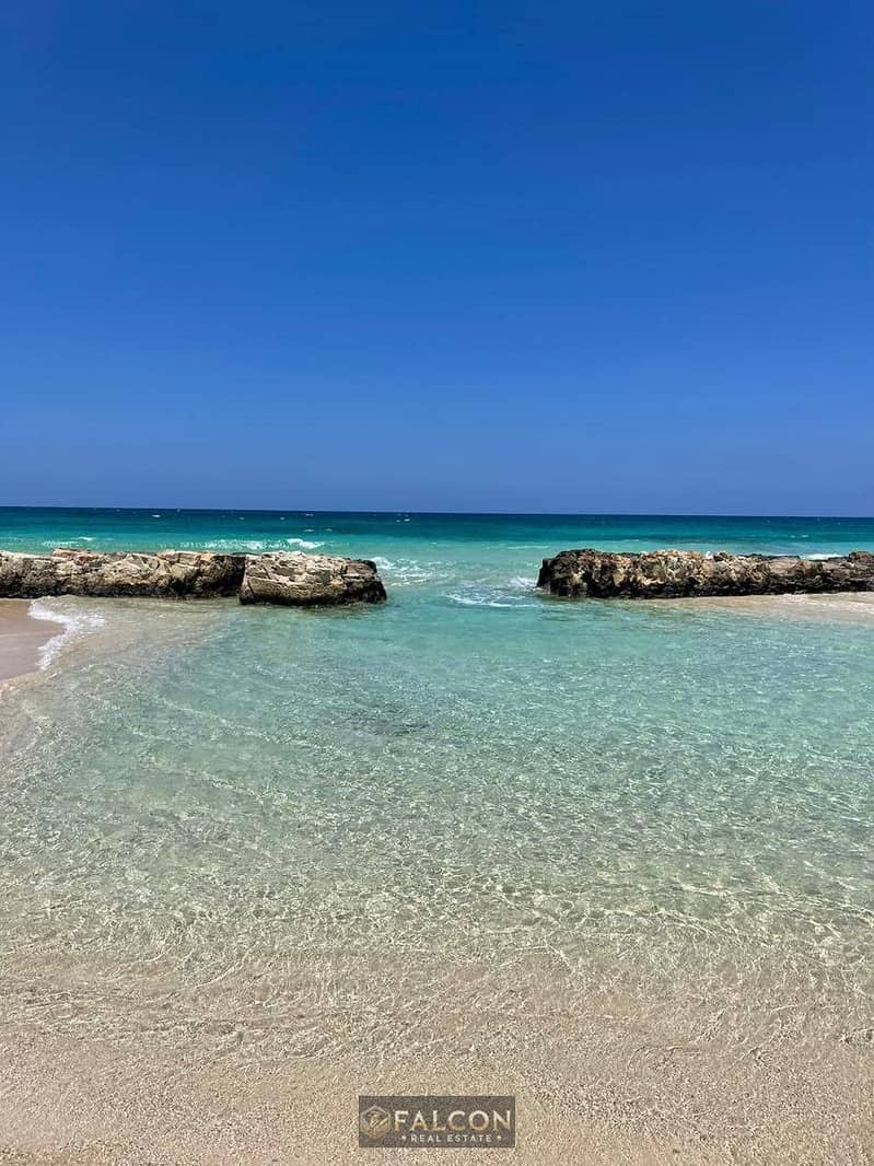 8 WhatsApp Image 2026-05-19 at 4.02. 25 PM. jpeg