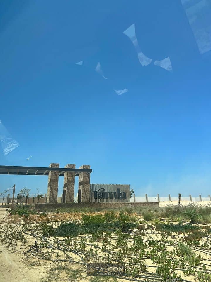 9 513878638_1375195000262985_8556902480583471527_n. jpg