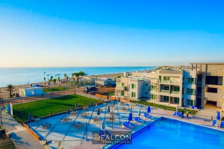 شاليه 3 غرف نوم للبيع في العين السخنة، السويس - 407350663_1403232707292670_333205658080602395_n. jpg شاليه 3 غرف نوم للبيع في العين السخنة، السويس - 407350663_1403232707292670_333205658080602395_n. jpg