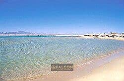 5 SomaBeach. jpg