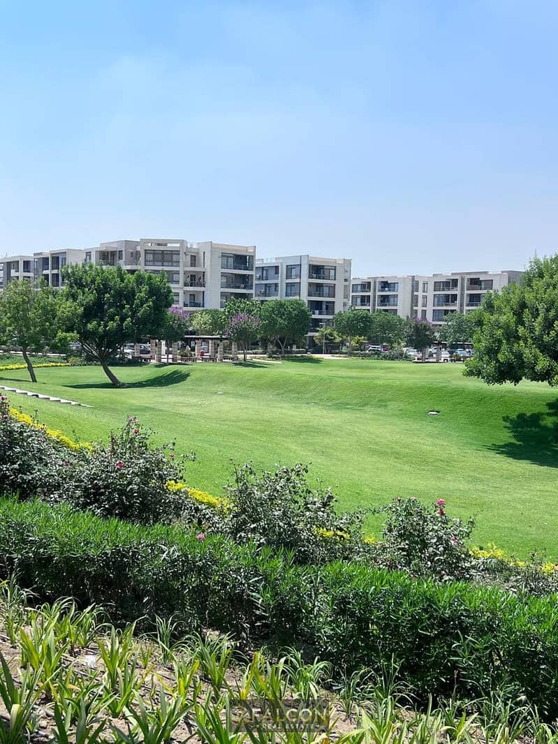 11 468658207_122180177930170009_7785085741064724474_n. jpg