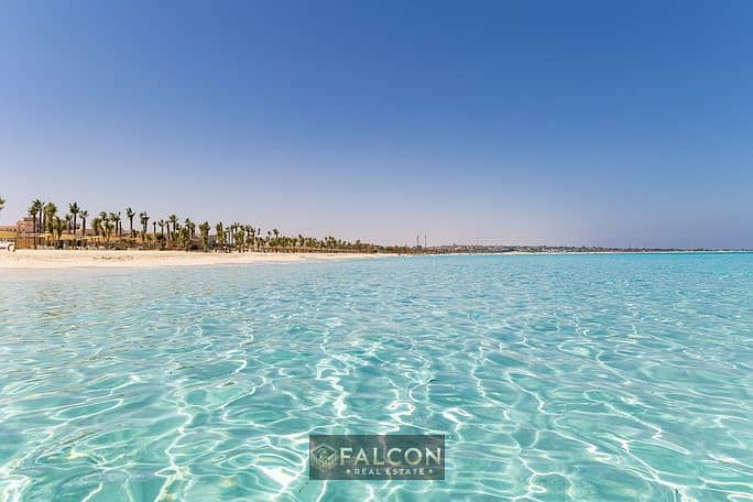 5 hesham-sowera-photography-3642-2. jpg