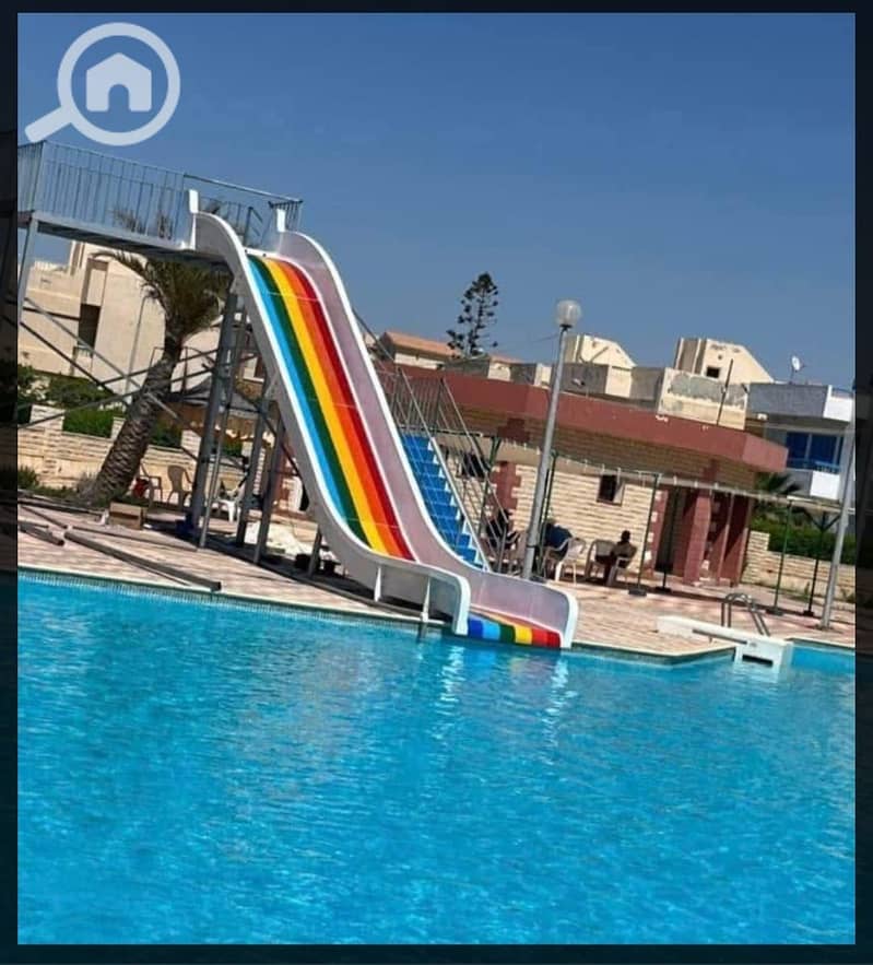 10 479281. jpg