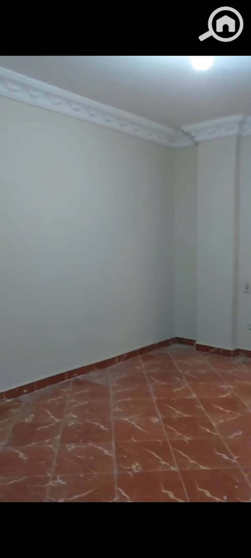 5 1001216045. jpg