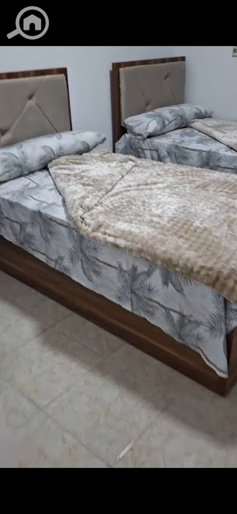 7 1000702084. jpg