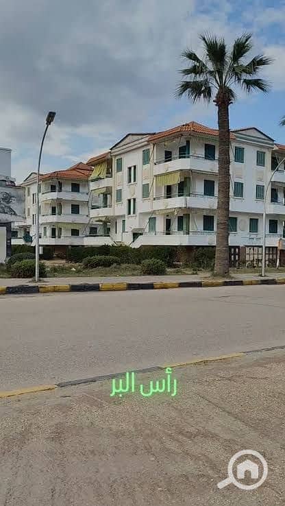 3 1000387111. jpg