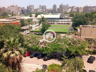 2 Bedroom Hotel Apartment for Rent in Dokki, Giza - 26738. jpg