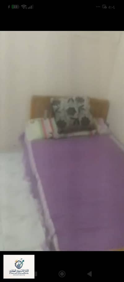 3 Bedroom Apartment for Rent in Maadi, Cairo - 1000250523. jpg 3 Bedroom Apartment for Rent in Maadi, Cairo - 1000250523. jpg