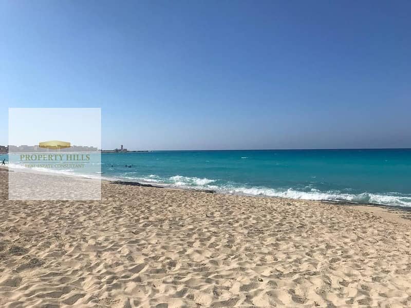 6 702844867_1468369355333161_8202611033503842567_n. jpg