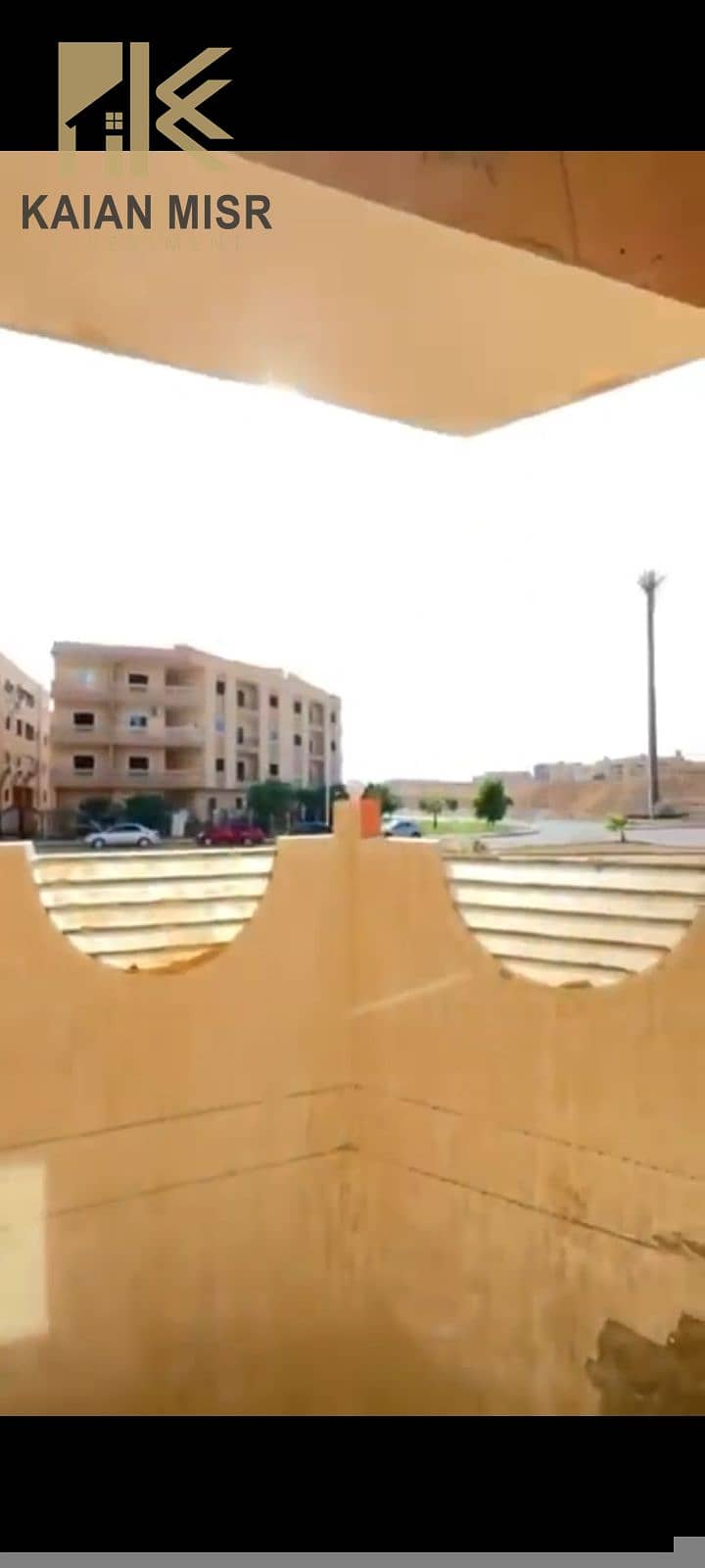 6 3949. jpg