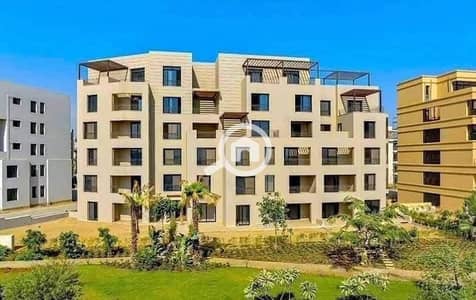 3 Bedroom Penthouse for Sale in 6th of October, Giza - WhatsApp Image 2026-02-12 at 5.29. 03 PM. jpeg 3 Bedroom Penthouse for Sale in 6th of October, Giza - WhatsApp Image 2026-02-12 at 5.29. 03 PM. jpeg