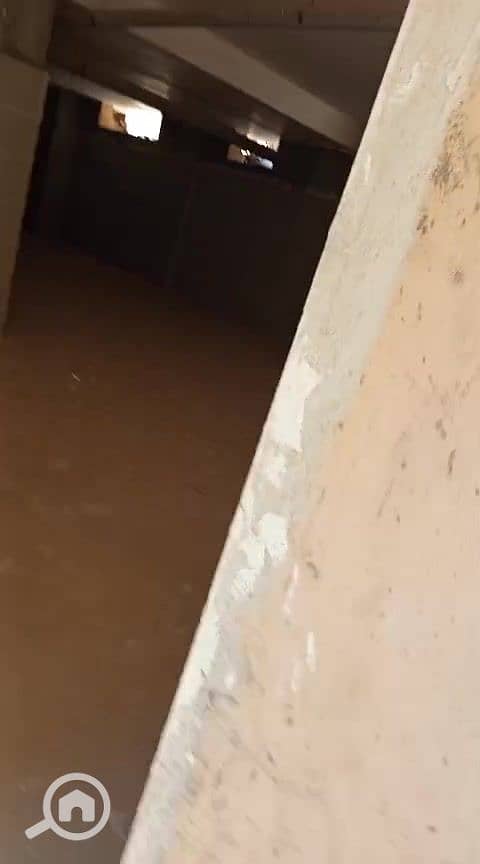 4 عمرو التمر_000042. jpg