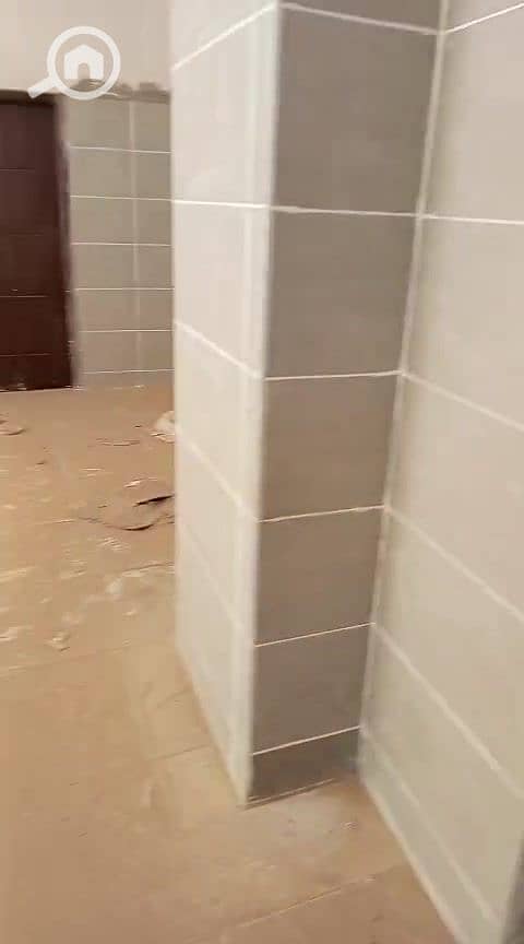 13 عمرو التمر_000100. jpg