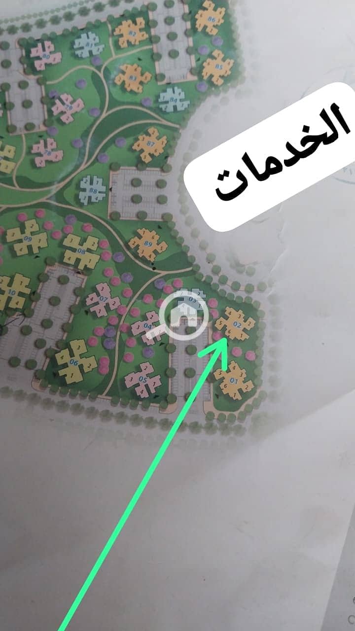 2 WhatsApp Image 2026-08-10 at 11.56. 14 AM. jpeg