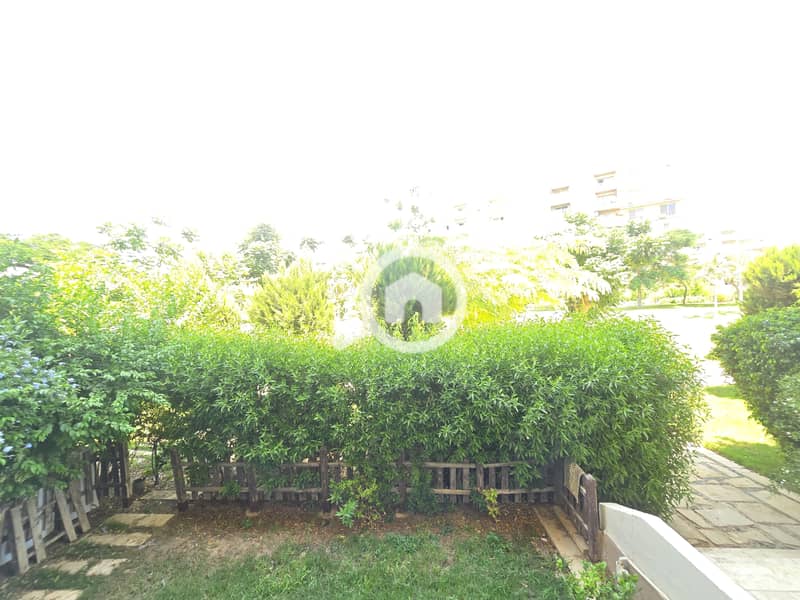 3 545938. jpg