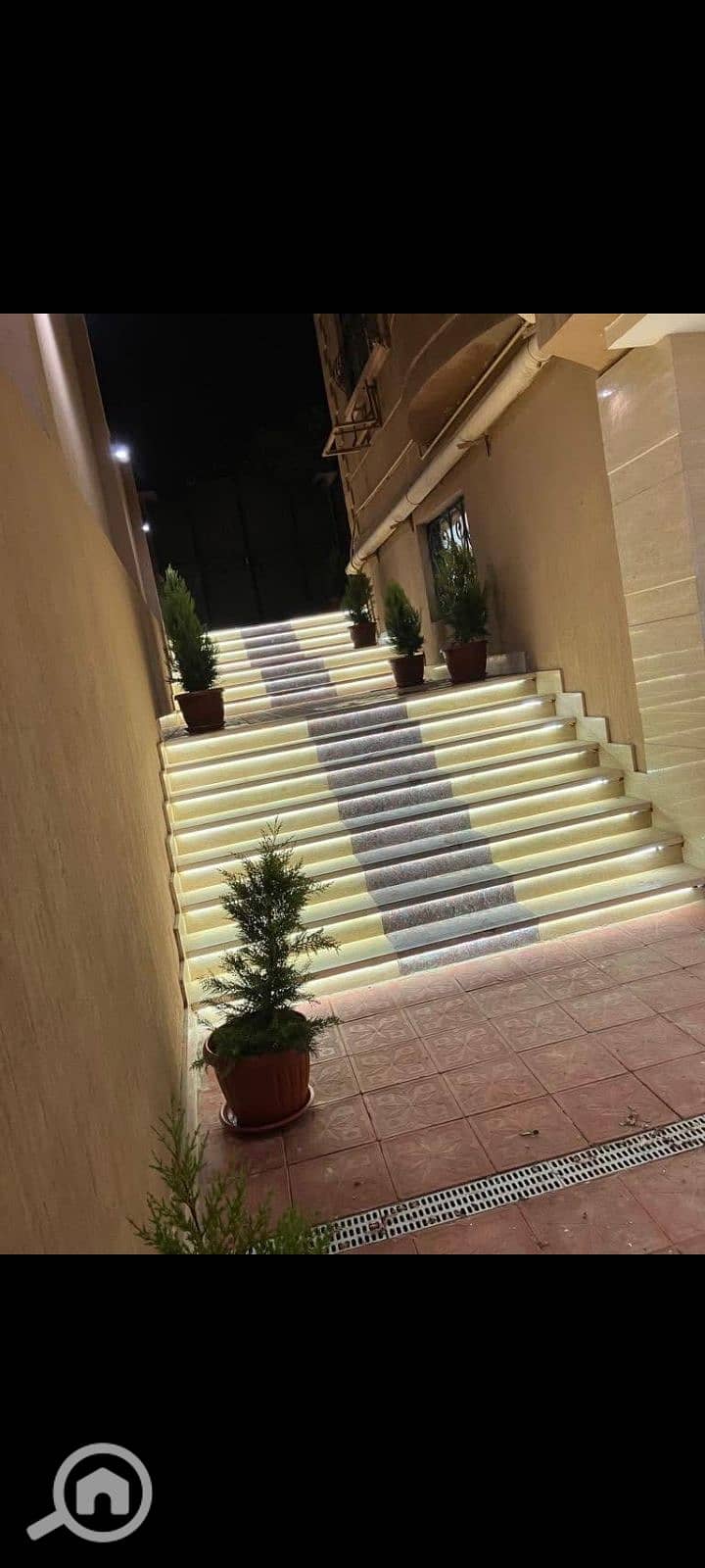 8 17683. jpg
