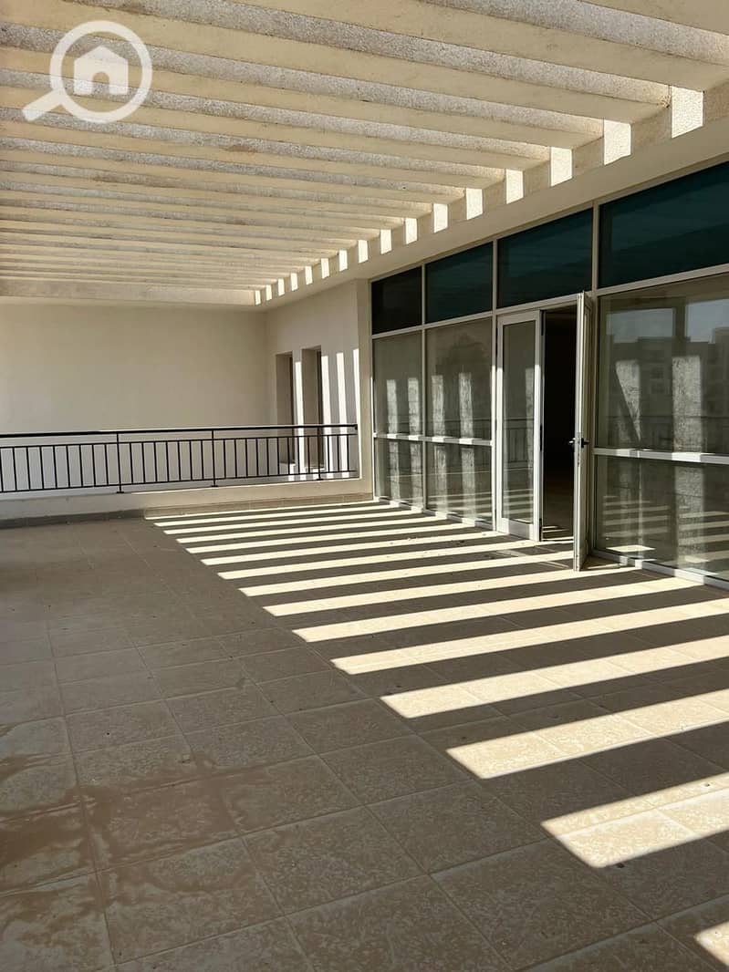 3 IMG_6877. jpg