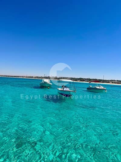 شاليه 2 غرفة نوم للبيع في الساحل الشمالي، مطروح - WhatsApp Image 2026-08-10 at 12.30. 34 PM (4). jpeg