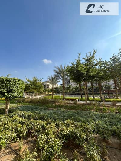 3 Bedroom Flat for Sale in New Cairo, Cairo - WhatsApp Image 2026-06-16 at 3.02. 18 AM. jpeg