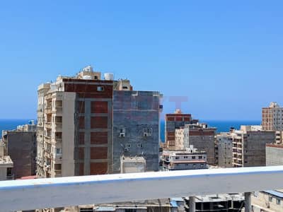 3 Bedroom Flat for Sale in Asafra, Alexandria - WhatsApp Image 2026-08-09 at 4.57. 47 PM. jpg