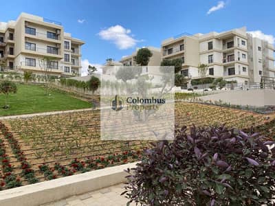 3 Bedroom Penthouse for Sale in New Cairo, Cairo - WhatsApp Image 2026-07-29 at 2.33. 19 PM (1). jpeg 3 Bedroom Penthouse for Sale in New Cairo, Cairo - WhatsApp Image 2026-07-29 at 2.33. 19 PM (1). jpeg