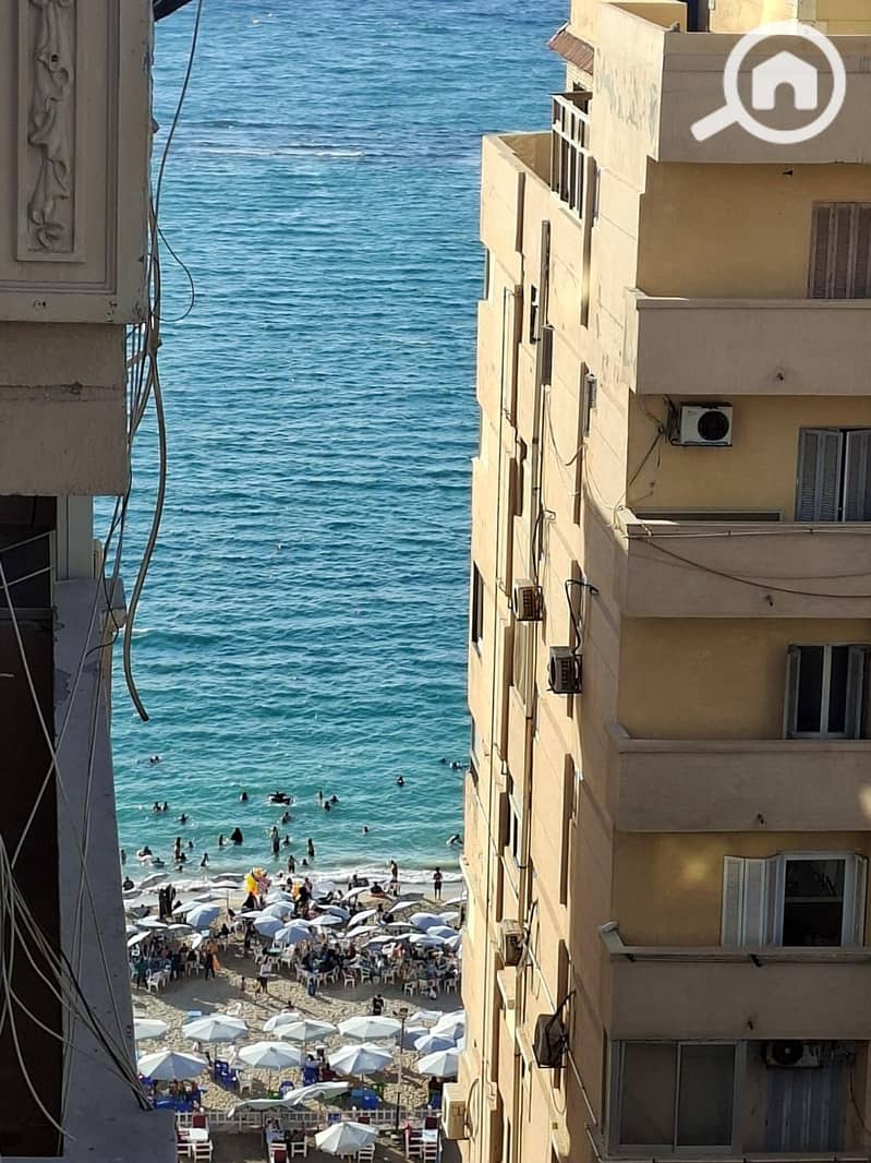 5 1000493313. jpg