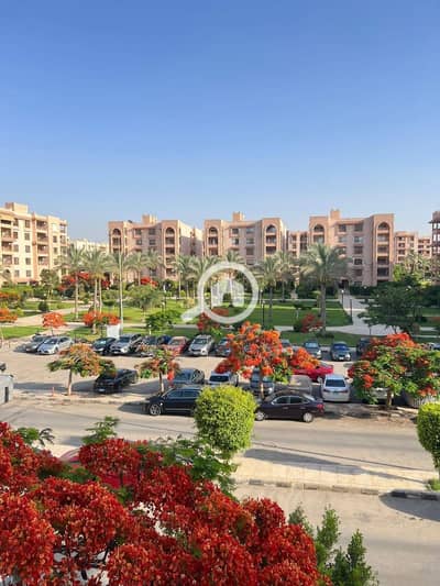 شقة 4 غرف نوم للايجار في القاهرة الجديدة، القاهرة - 769175255_998424589830358_4007574335471537207_n. jpg