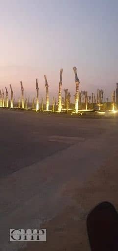 4 WhatsApp Image 2026-02-15 at 10.35. 53. jpeg